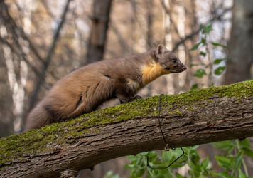 Similar image 22206564