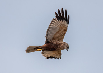 Similar image 22206568