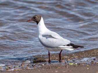 Similar image 22206569