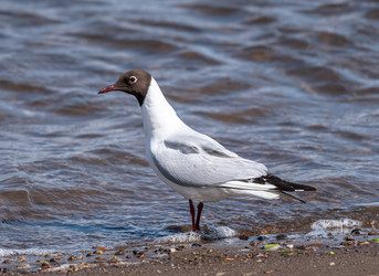 Similar image 22206570