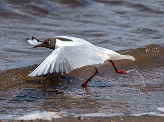 Similar image 22206571