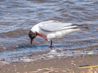 Similar image 22206573