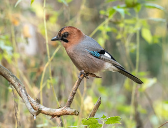 Similar image 22206575