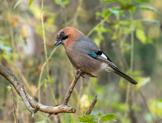 Similar image 22206576