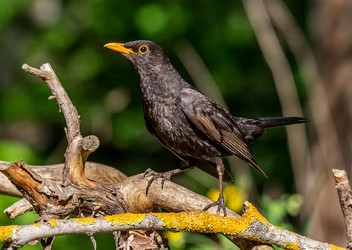 Similar image 22206577