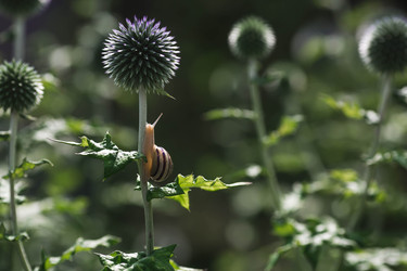 Similar image 22206667