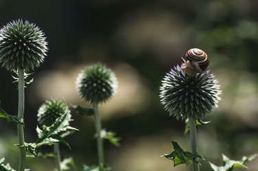 Similar image 22206668