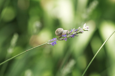 Similar image 22206669