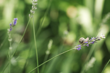 Similar image 22206670