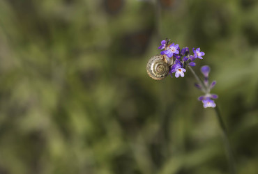 Similar image 22206671