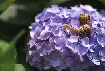 Similar image 22206672