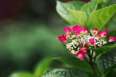 Similar image 22206673