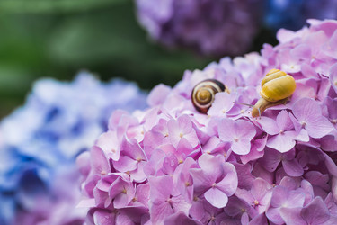 Similar image 22206674