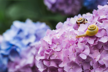 Similar image 22206675