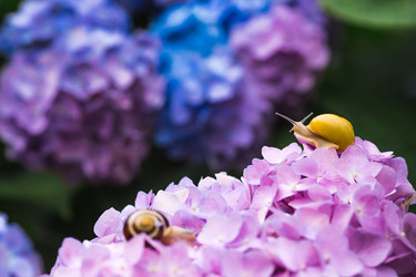 Similar image 22206676