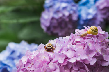 Similar image 22206677