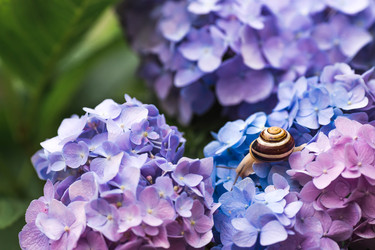 Similar image 22206678