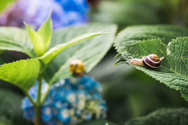 Similar image 22206679