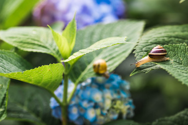 Similar image 22206680