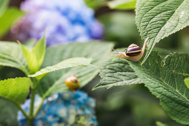 Similar image 22206681