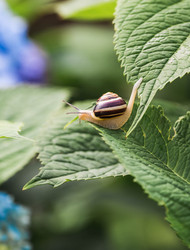 Similar image 22206682