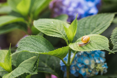 Similar image 22206683