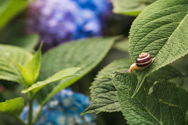 Similar image 22206684