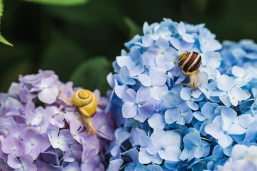 Similar image 22206685