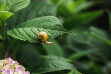 Similar image 22206686