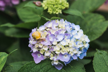 Similar image 22206688