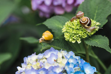 Similar image 22206689