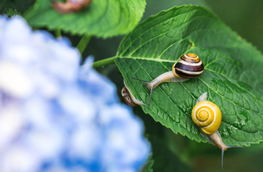 Similar image 22206691