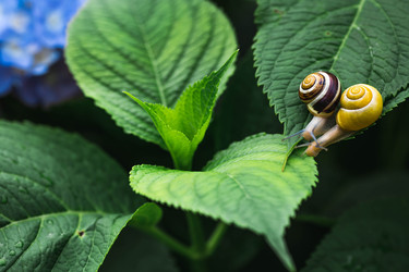 Similar image 22206693