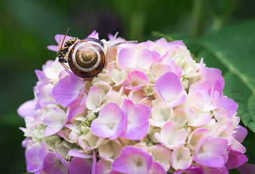 Similar image 22206694