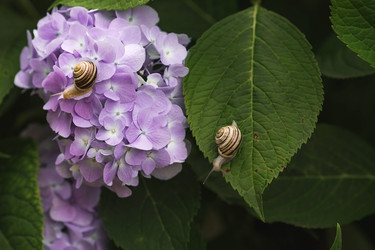 Similar image 22206695