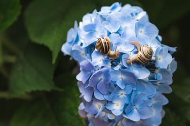 Similar image 22206696