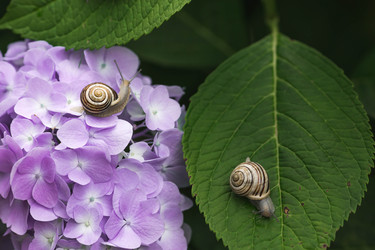 Similar image 22206697