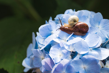 Similar image 22206698