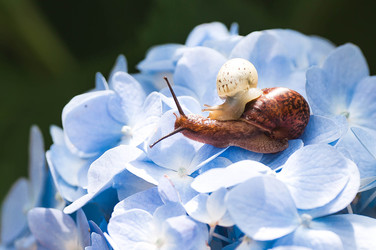 Similar image 22206699