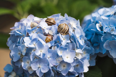 Similar image 22206700