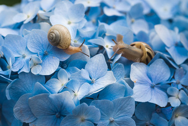 Similar image 22206701