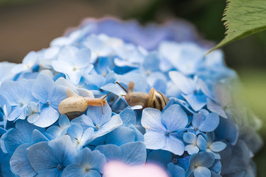 Similar image 22206702