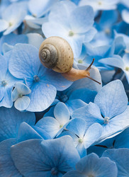 Similar image 22206703