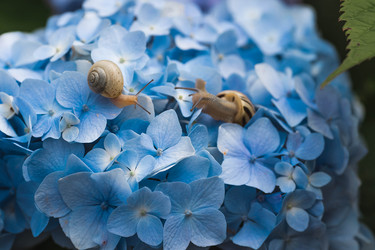 Similar image 22206704