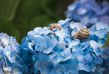 Similar image 22206705