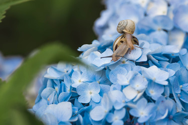 Similar image 22206706