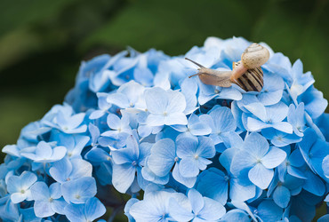 Similar image 22206707