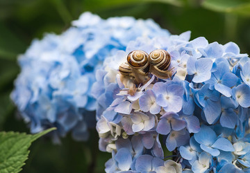 Similar image 22206708