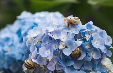 Similar image 22206709