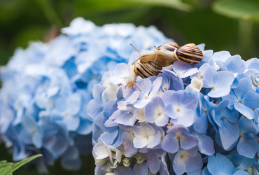 Similar image 22206710